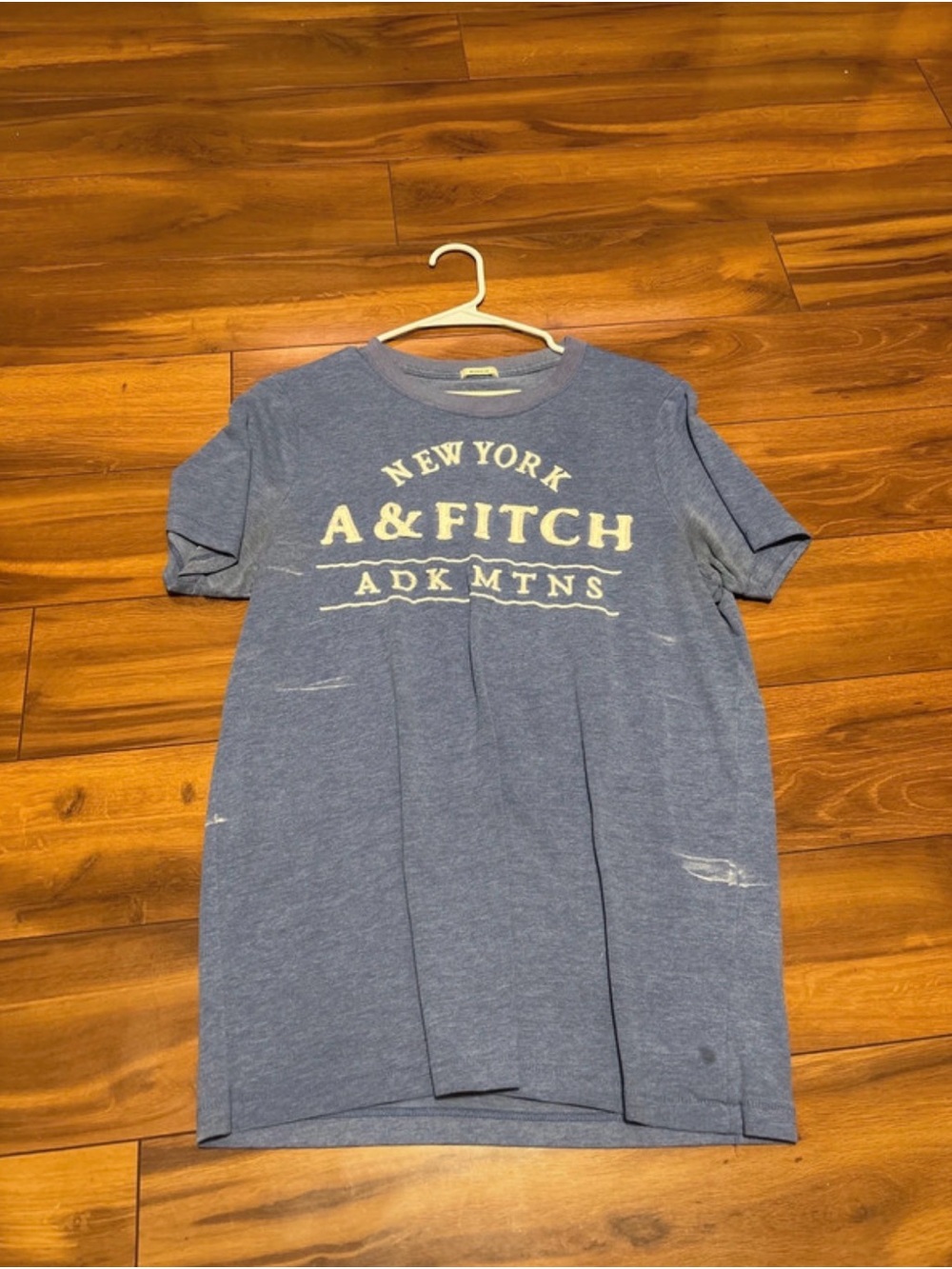 A&Fitch New York ADK Mtns Graphic Tee - Blue